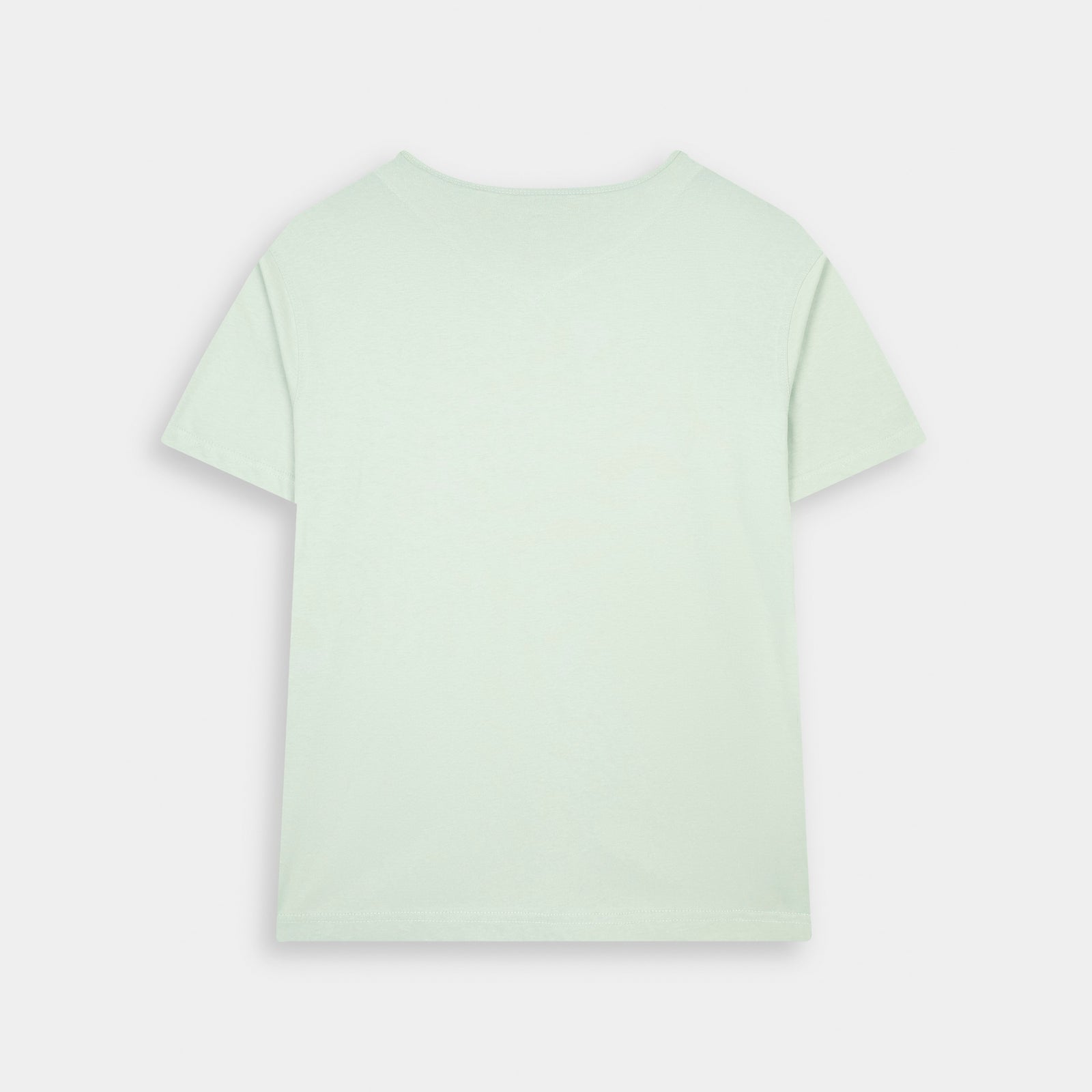 Back view of BSG Men's V-Neck Graphic T-Shirt in light mint color with short sleeves
